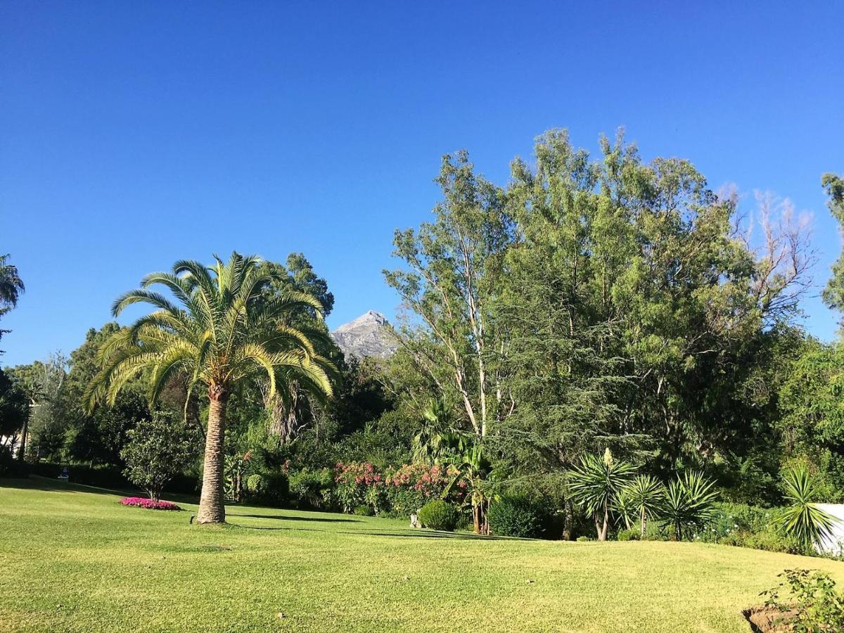 Nueva Andalucia - Penthouse Apartment Marbella Ngoại thất bức ảnh